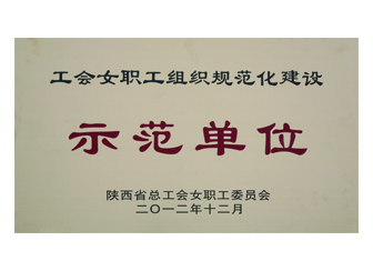 2012年獲陜西省工會(huì)女職工組織規(guī)范化建設(shè)“示范單位”