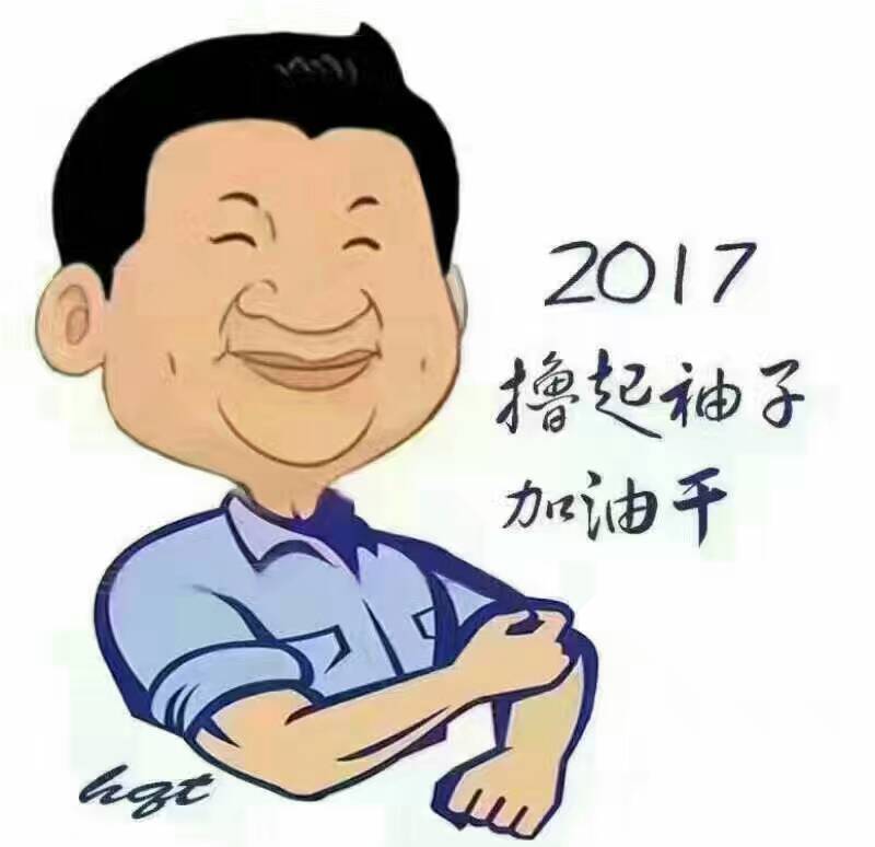 2017年，“大家擼起袖子加油干”！